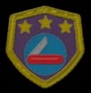 wiki:badge_whittling.jpg